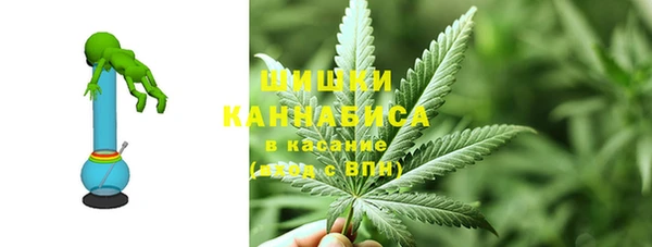 прущие крисы Белокуриха