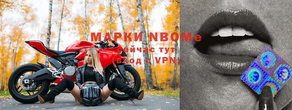 амф Беломорск