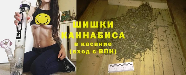 прущие крисы Белокуриха