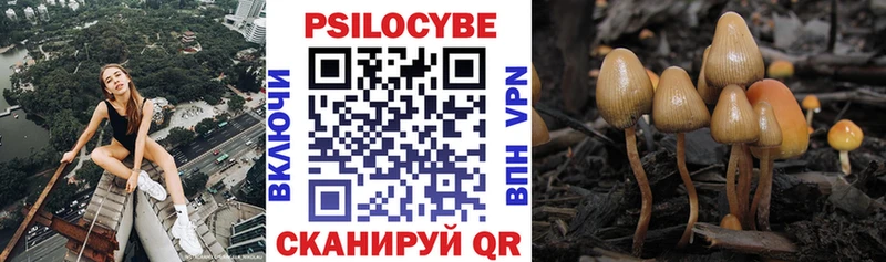 Псилоцибиновые грибы Psilocybine cubensis Дагестанские Огни